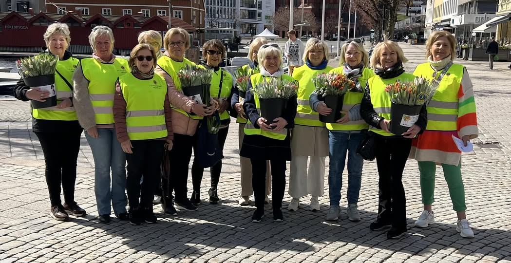 Artikkelbilde til artikkelen Tulipanaksjon 26.april